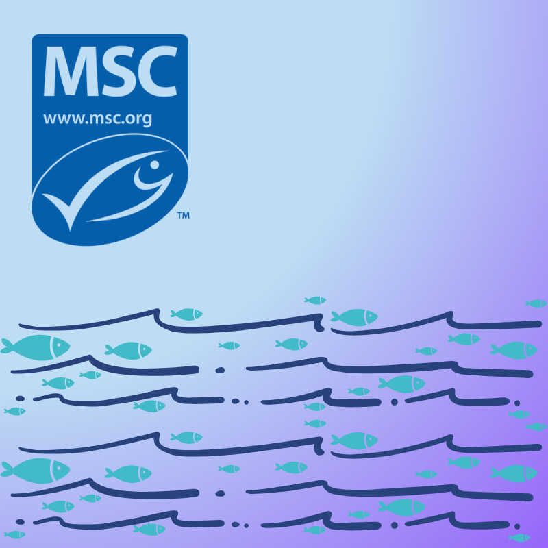 Marine Stewardship Council logo above stylized blue ocean waves with small turquoise fish illustrations